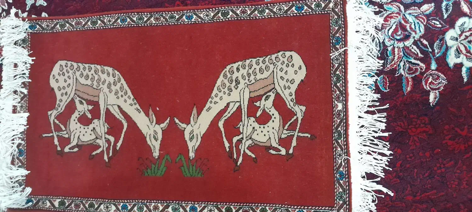 فرو*ش ۳ عدد فرش و۳ عدد استند آپ نمایشگاهی|فرش|اقلید, |دیوار