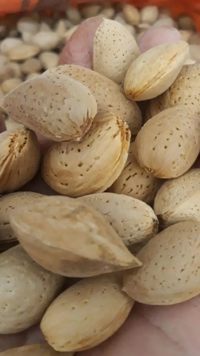 برنج هاشمی، آرد برنج، بادام درختی و حبوبات|خوردنی و آشامیدنی|ساوه, |دیوار