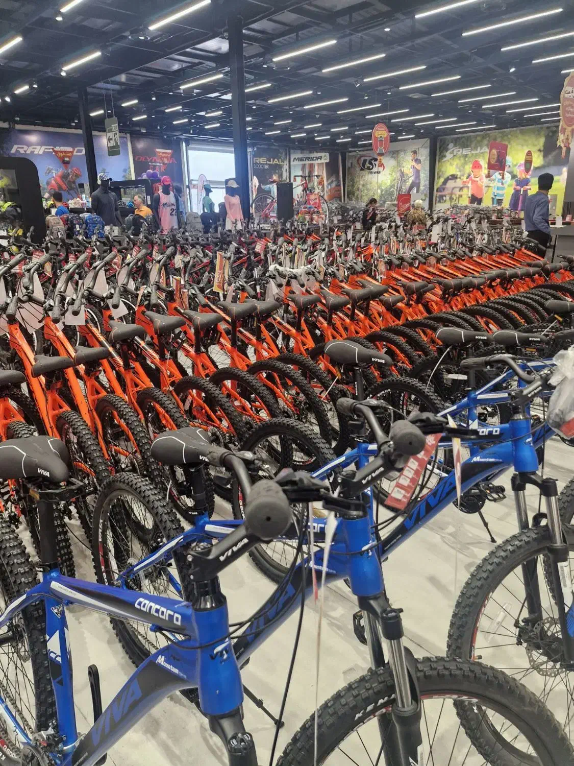 دوچرخه با سند رسمی مالکیت برای هر خر×ید|دوچرخه، اسکیت، اسکوتر|قزوین, |دیوار