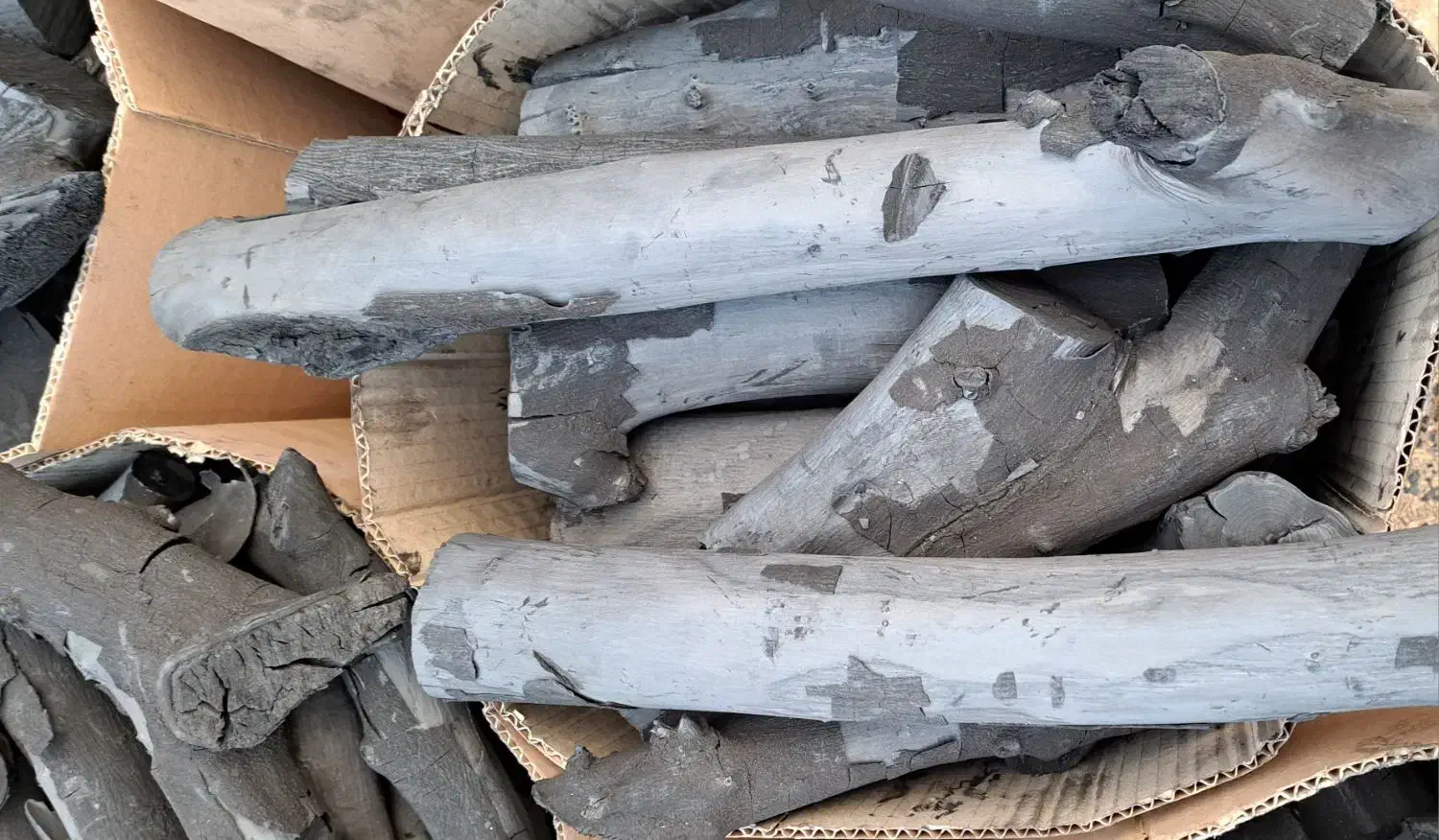 زغال لیموی جنوب|عمدهفروشی|شیراز, حافظیه|دیوار