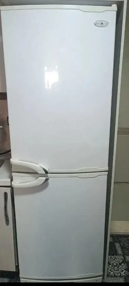 همشون سالم سالم..|ظروف سرو و پذیرایی|یزد, |دیوار