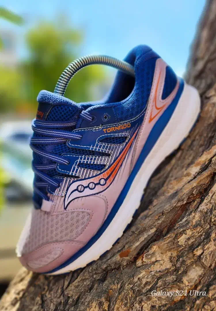 گفش|کیف، کفش، کمربند|باغ صفا, |دیوار