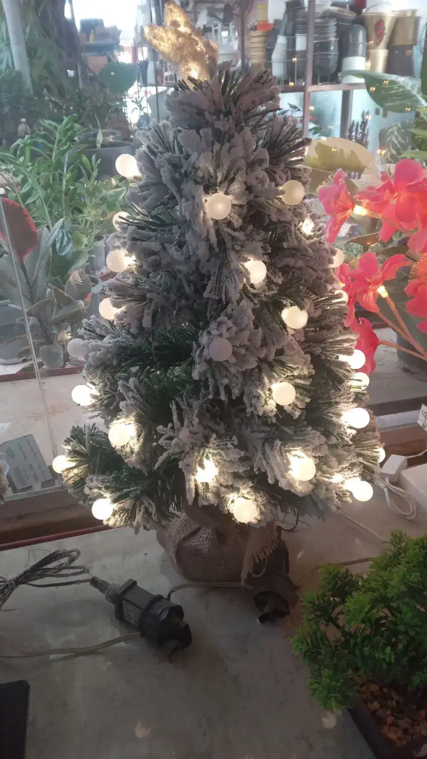 کاج وارداتی کریسمس ارمیا|گل مصنوعی|پاکدشت, پاکدشت (مامازند)|دیوار