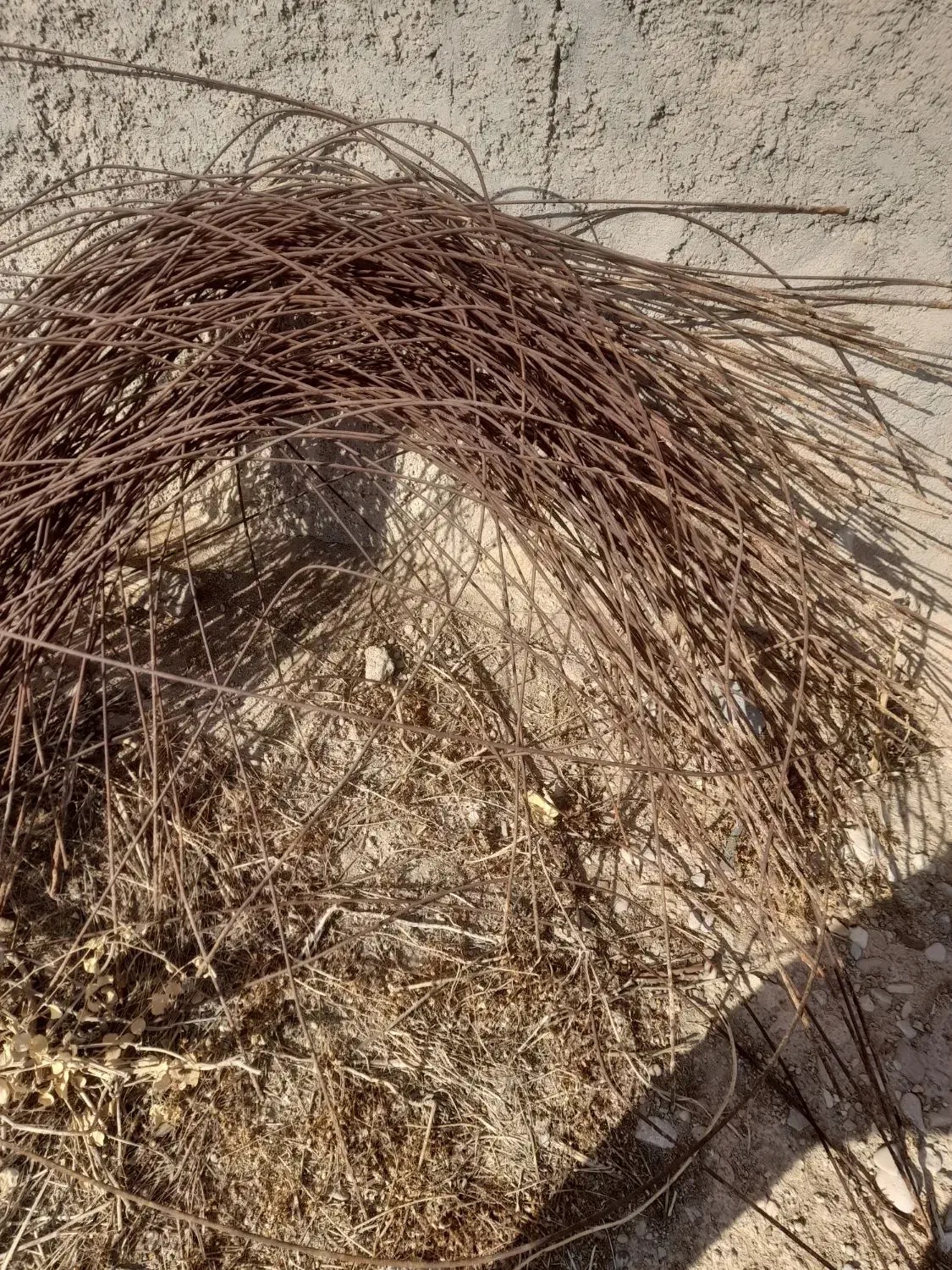 سیم کشاورزی|عمدهفروشی|جهرم, |دیوار