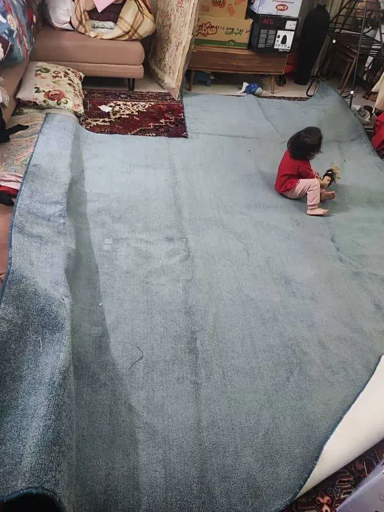 پالازموکت ۱۲ متری|موکت|قرچک, میرزائی شمالی|دیوار