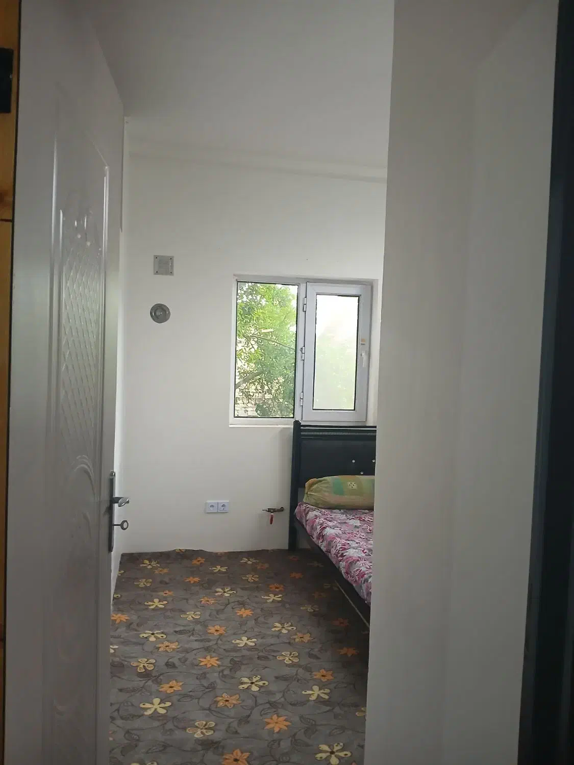 اجاره سویت|اجارهٔ کوتاه‌مدت آپارتمان و سوئیت|کلاچای, |دیوار