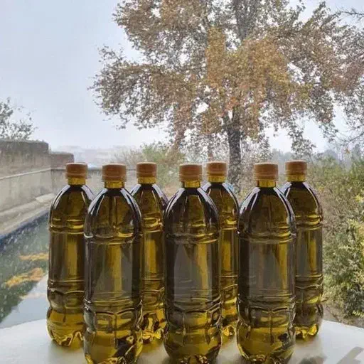 روغن زیتون صدرصد طبیعی و به شرط|خوردنی و آشامیدنی|آق قلا, |دیوار