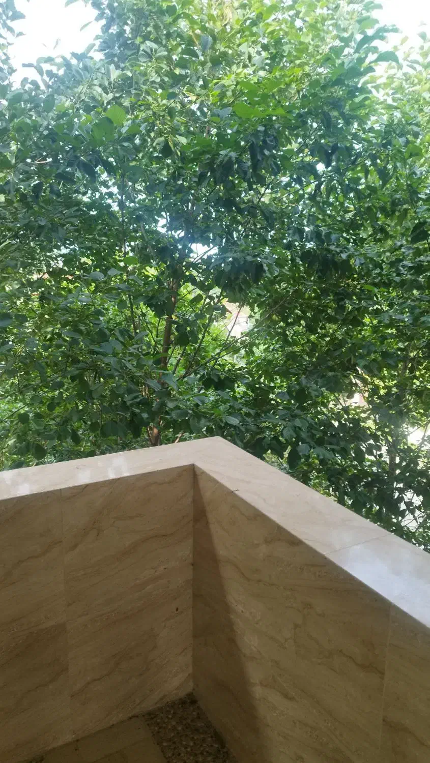 زمین با سند 6دانگ و پروانه|فروش زمین و ملک کلنگی|شیرود, |دیوار