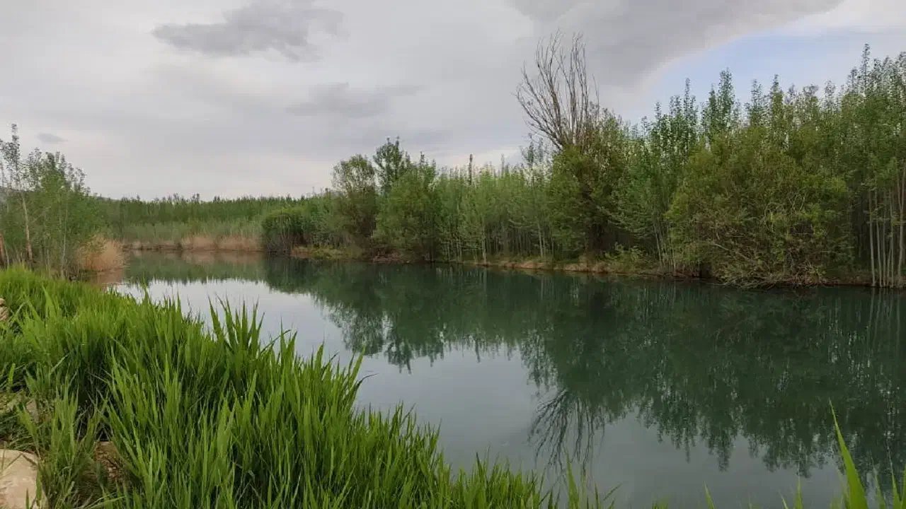 فروش یک واحد از واحد های سپهر گوشه|فروش خانه و ویلا|جونقان, |دیوار