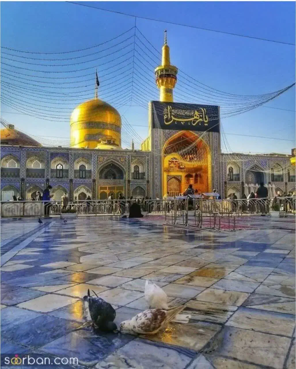 تور مشهد حرکت ۳ ام ۶ ام ۹م آذر|تور و چارتر|بروجرد, |دیوار