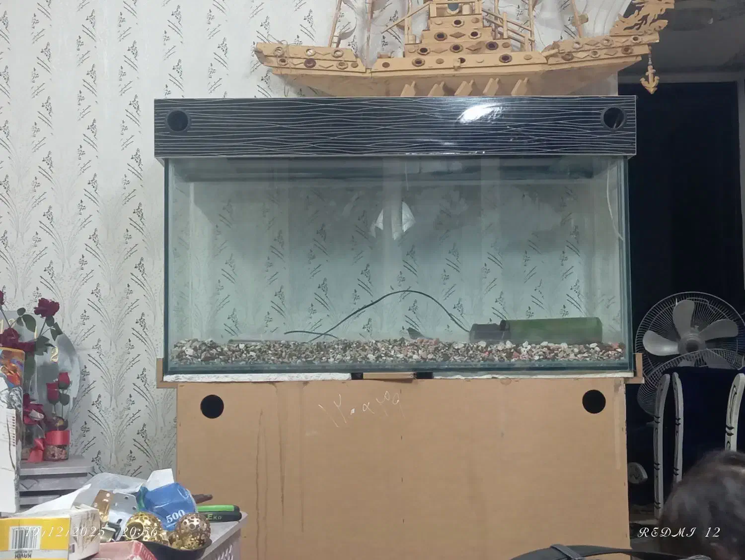 آکواریوم|ماهی|تربت جام, مسکن مهر|دیوار