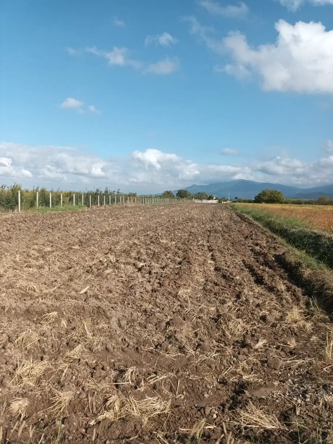 زمین باغی|فروش زمین و ملک کلنگی|گرگان, |دیوار