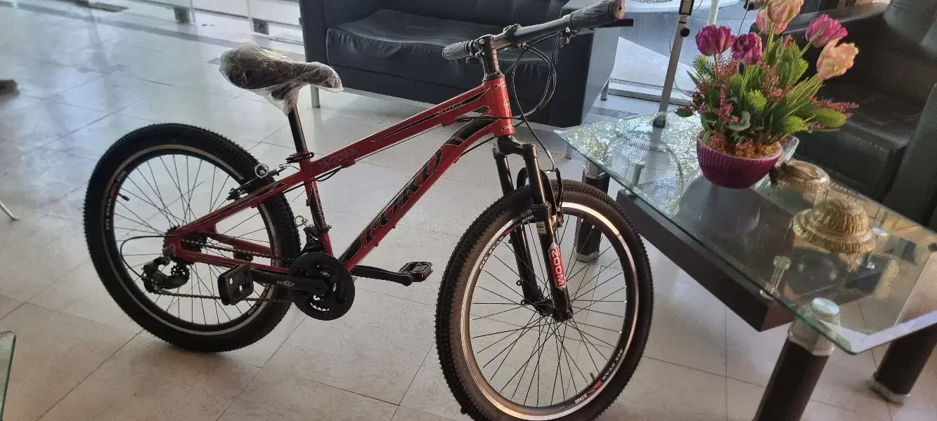 دوچرخه ۲۴ برند فرد|دوچرخه، اسکیت، اسکوتر|آمل, |دیوار