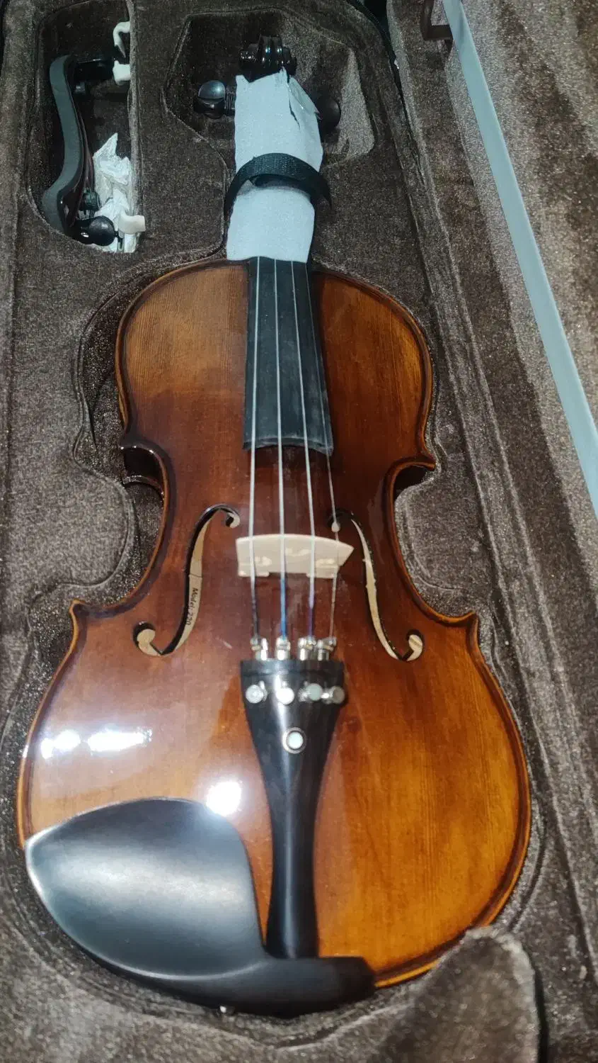 ویولن رناتو 220 4/4 درحدنو|ویولن|تهران, نظامآباد|دیوار