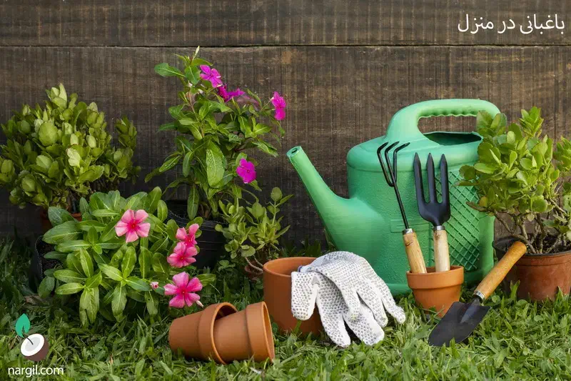 نظافت وشستشوی حیاط ،استخر،امورات باغچه وباغبانی|خدمات باغبانی و درختکاری|یزد, |دیوار
