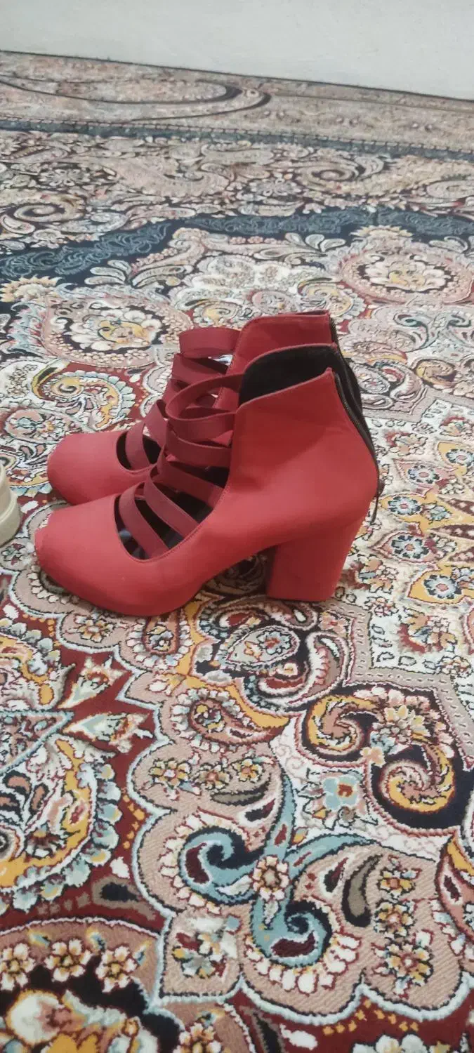 کفش زنانه|کیف، کفش، کمربند|کرمانشاه, |دیوار