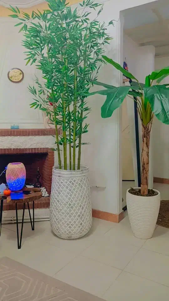 درخت بامبو مصنوعی|گل مصنوعی|رشت, گلسار|دیوار