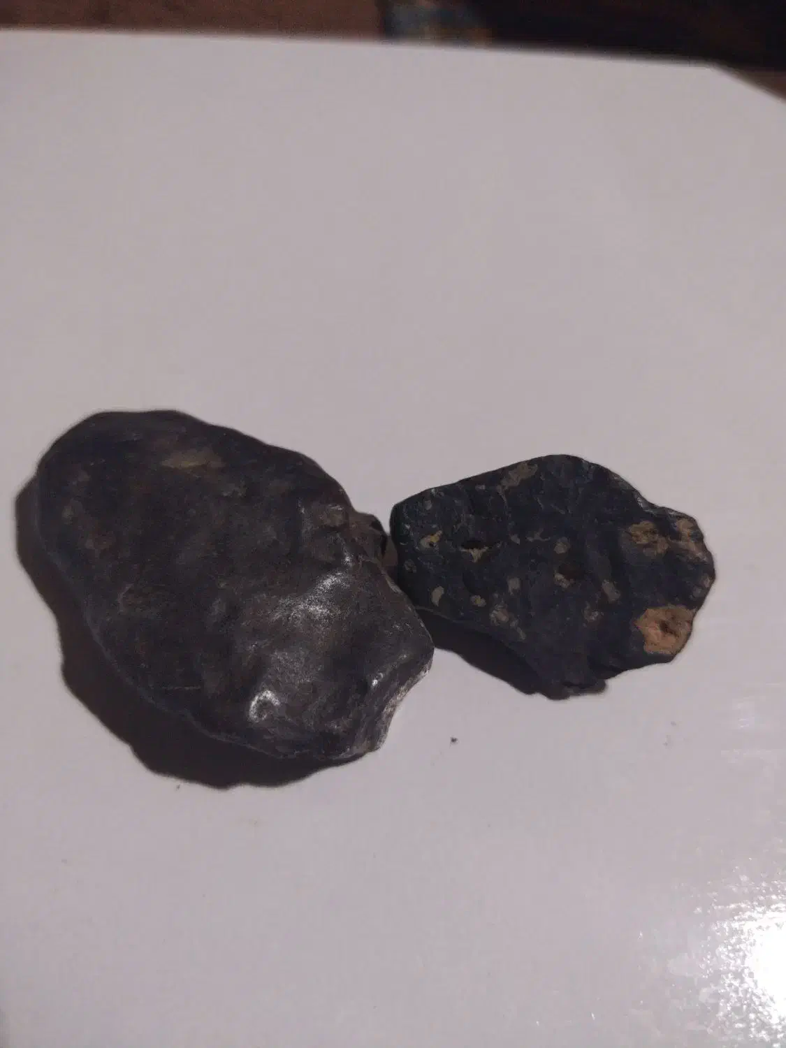 مشکوک به شهاب|جواهرات|تربتحیدریه, باغ سلطانی|دیوار