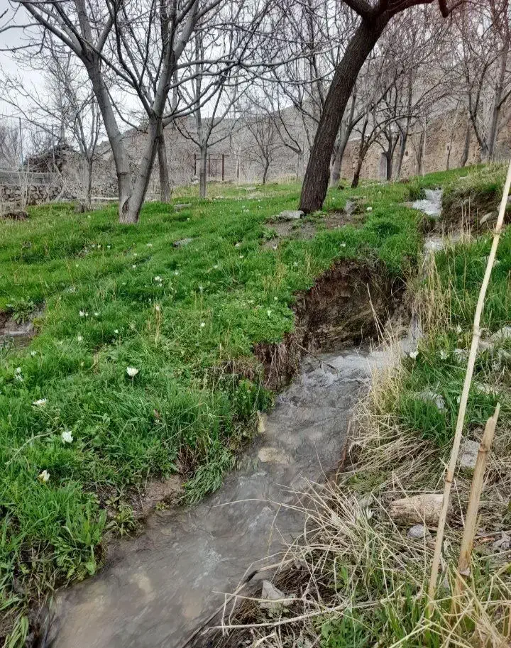 زمین ملک باغ ویلا|فروش خانه و ویلا|زنجان, |دیوار