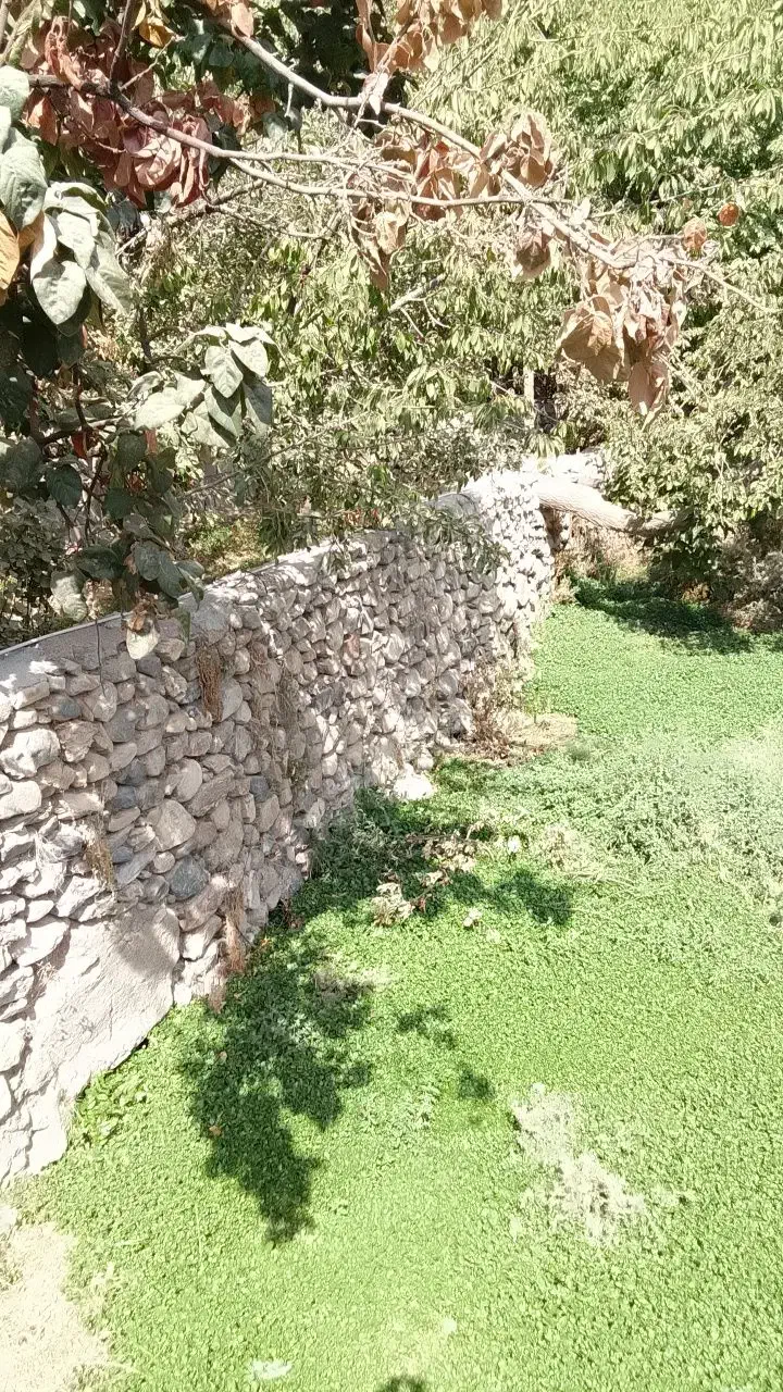 استخدام نیرو جهت کافه|استخدام خدمات فروشگاه و رستوران|نیشابور, فردوس شمالی|دیوار