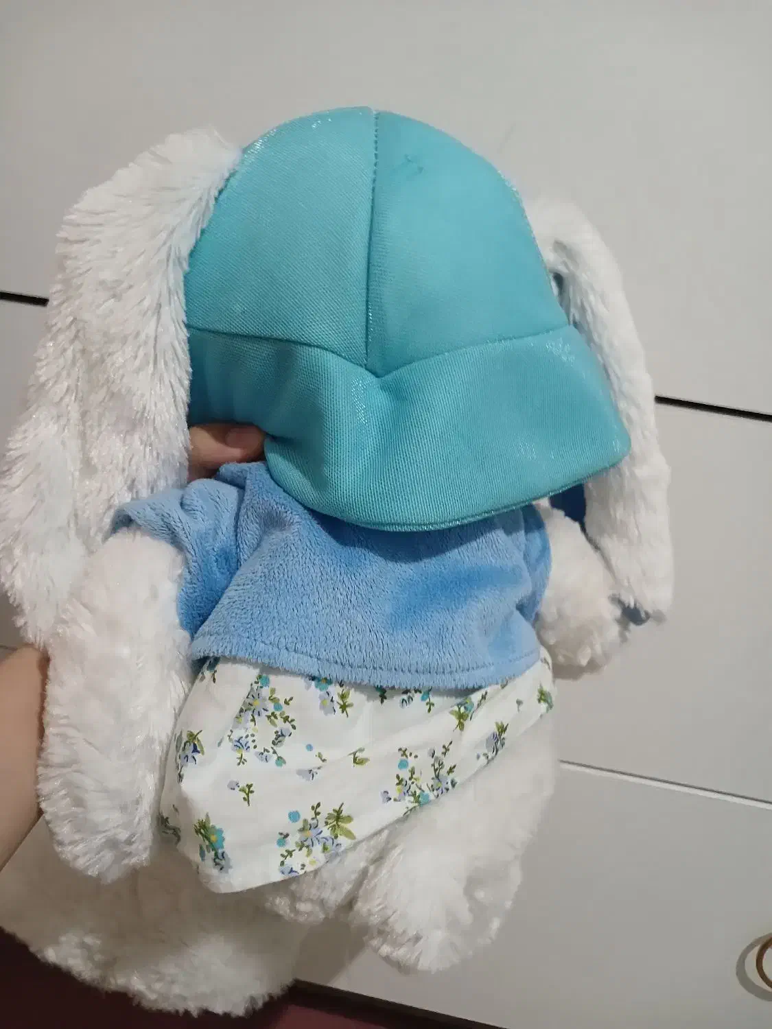 عروسک|اسباب‌‌بازی|قوچان, |دیوار