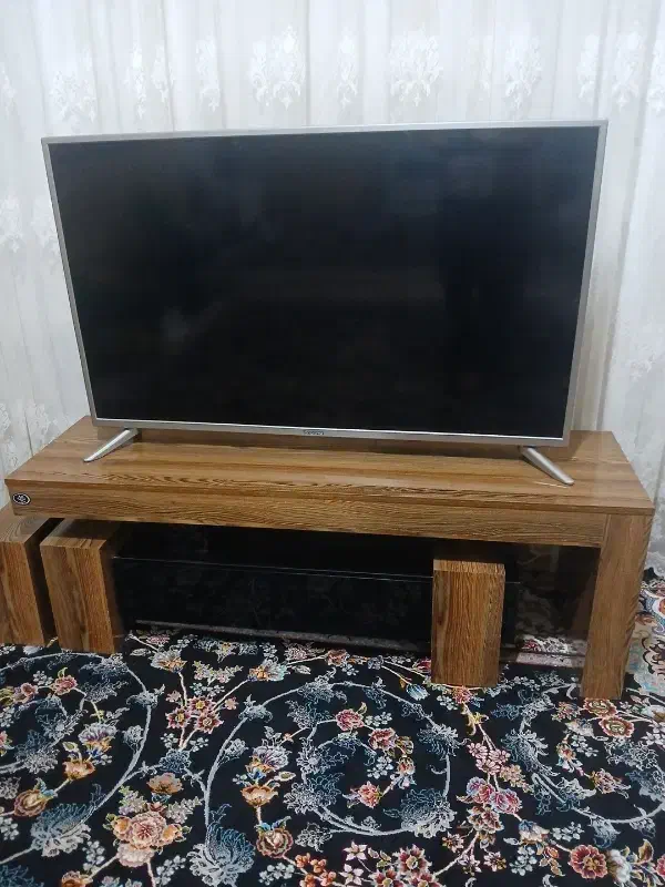 تلویزیون ۴۹ پانارومیس|تلویزیون و پروژکتور|مرودشت, رودبال|دیوار