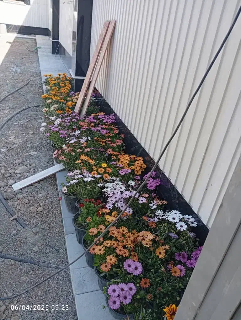 سنگ مصنوعی کیتکا|مصالح و تجهیزات ساختمان|اصفهان, براآن شمالی|دیوار