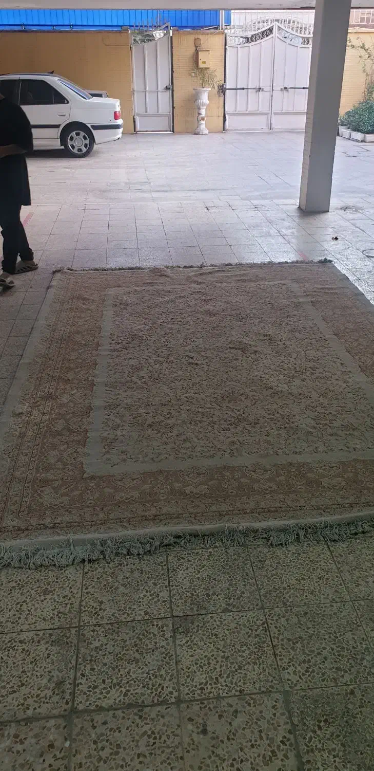 دو عدد قالی ۶ متری کرم رنگ|فرش|اهواز, کیانپارس |دیوار