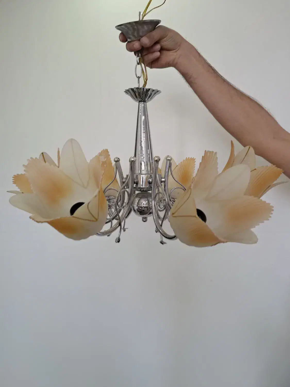 لوستر|لوستر و چراغ آویز|لاهیجان, کوی زمانی|دیوار