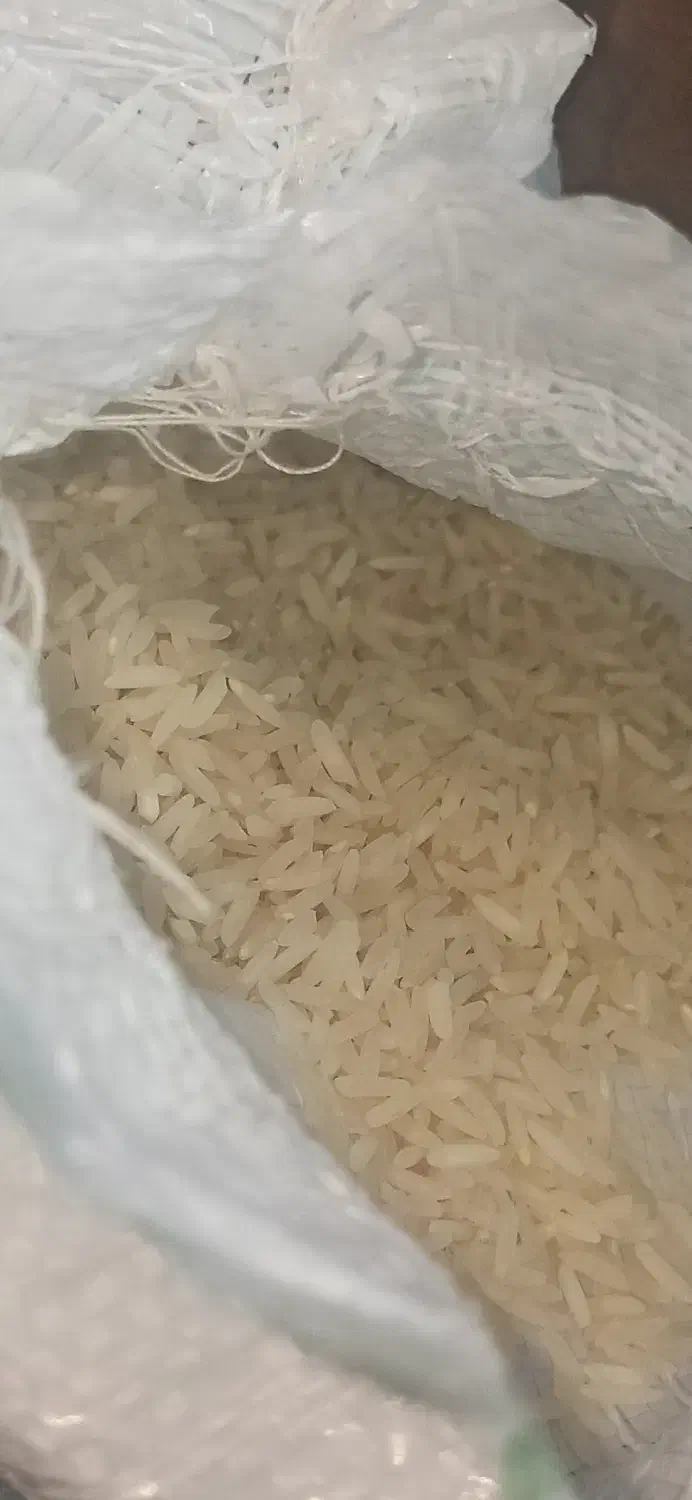 برنج طارم دم سیاه درجه یک ، طارم هاشمی|خوردنی و آشامیدنی|شاهرود, |دیوار