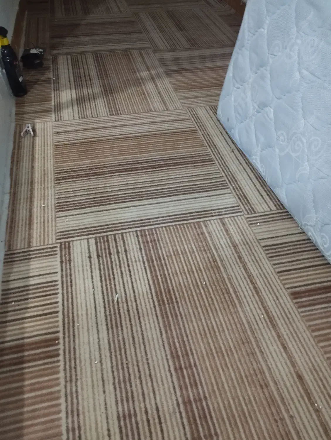 موکت|موکت|بجنورد, |دیوار