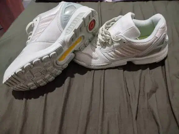 زدایکس ۸۰۰۰ مغز پسته ای سایز ۴۳|کیف، کفش، کمربند|هشتگرد, هشتگرد قدیم|دیوار