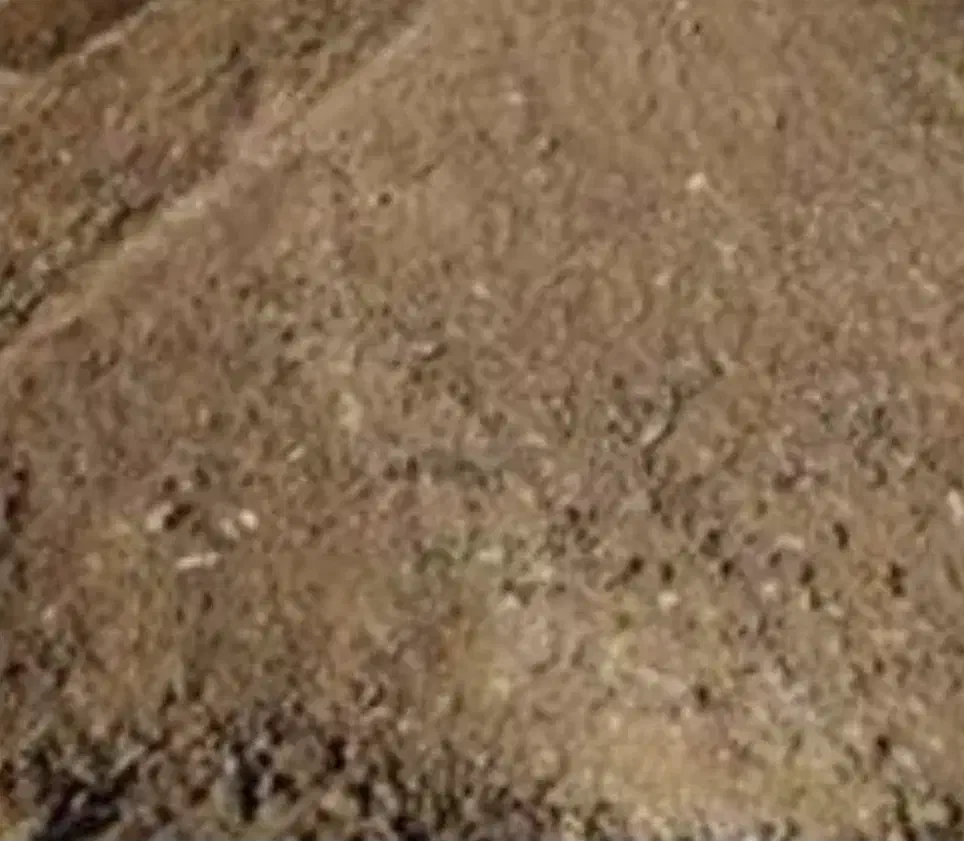 کود پوسیده دامی|خدمات باغبانی و درختکاری|چهاردانگه (تهران), |دیوار