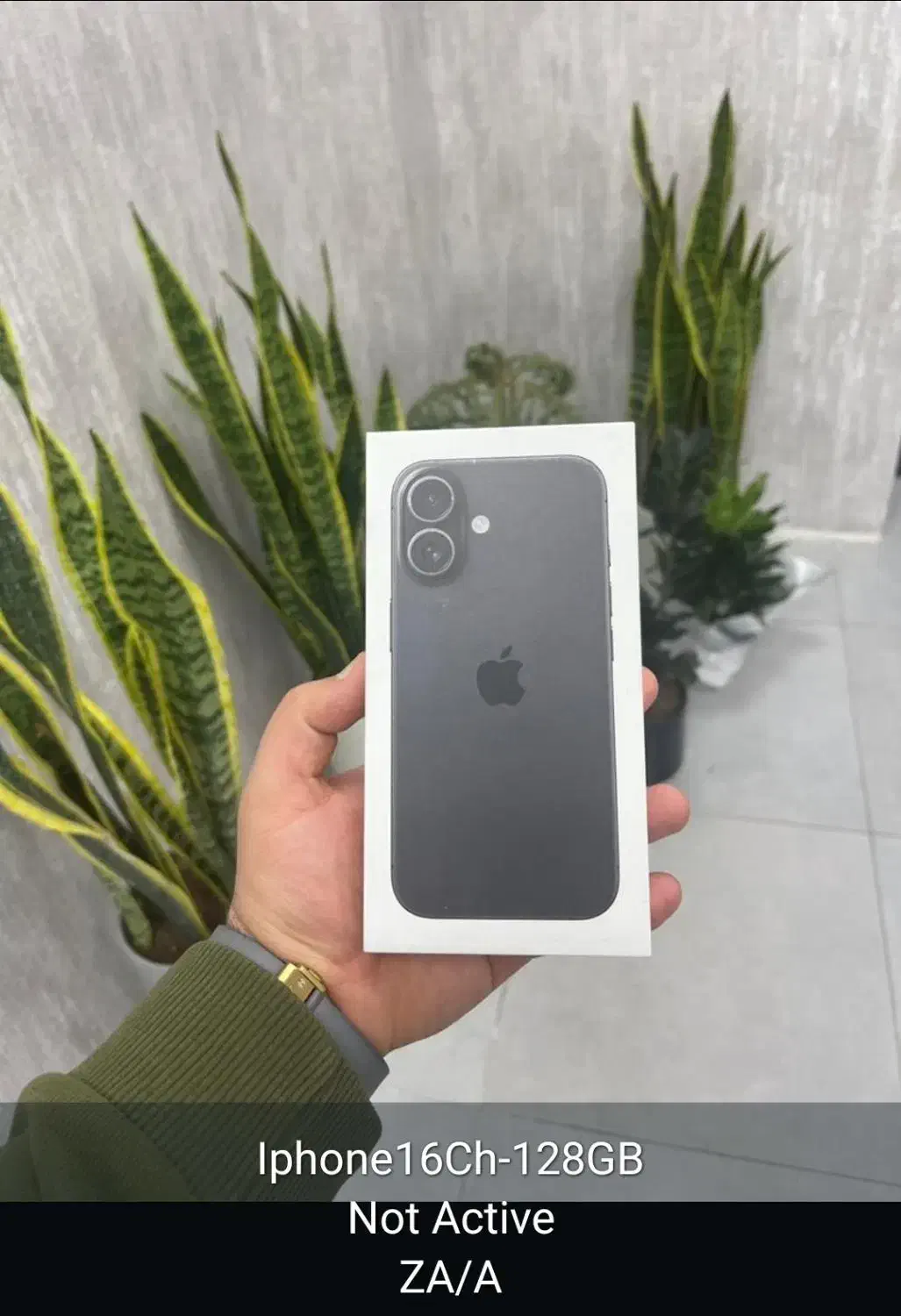 ایفون ۱۶ نرمال|موبایل|شیراز, شهرک نیروی انتظامی|دیوار