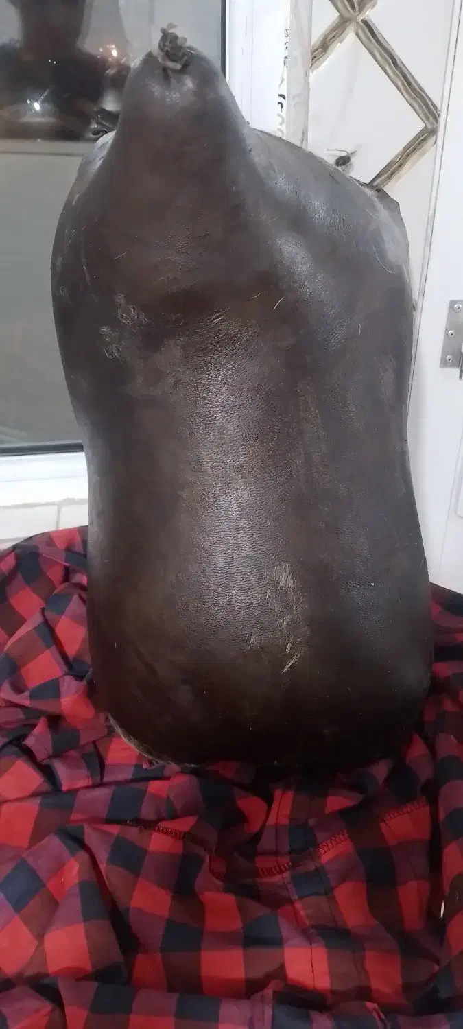 هیزه|صنایع دستی و سایر لوازم تزئینی|هرسین, |دیوار