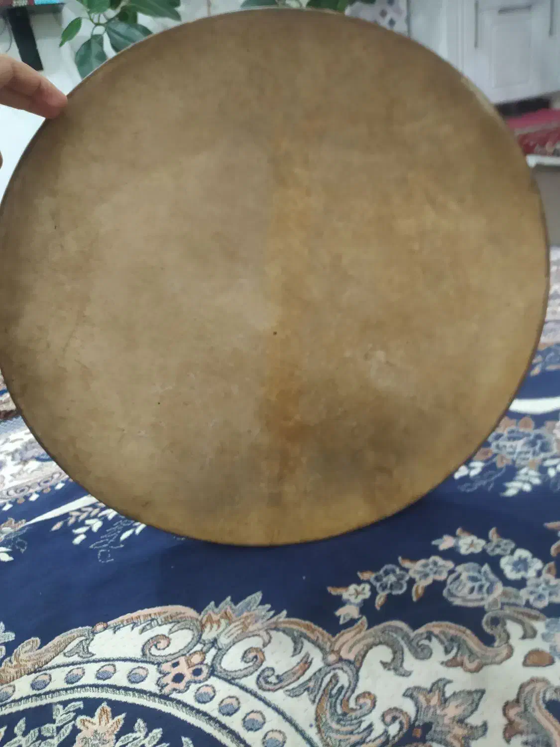 دف درویشی خوش صدا|سازهای سنتی|بوکان, |دیوار