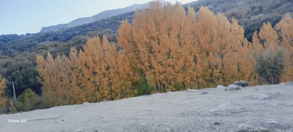 مشارکت در ساخت|مشارکت در ساخت املاک|خرم‌آباد, |دیوار