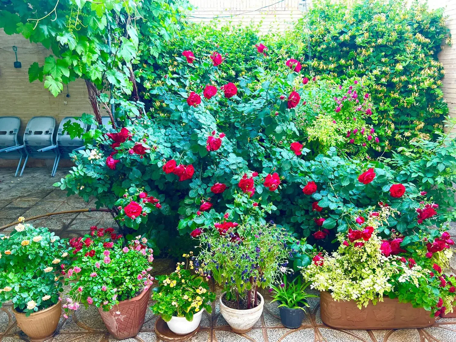 خانه دو طبقه شیک در خیابان ابوذر گلدیس|فروش خانه و ویلا|شاهین‌شهر, شهرک گلدیس|دیوار