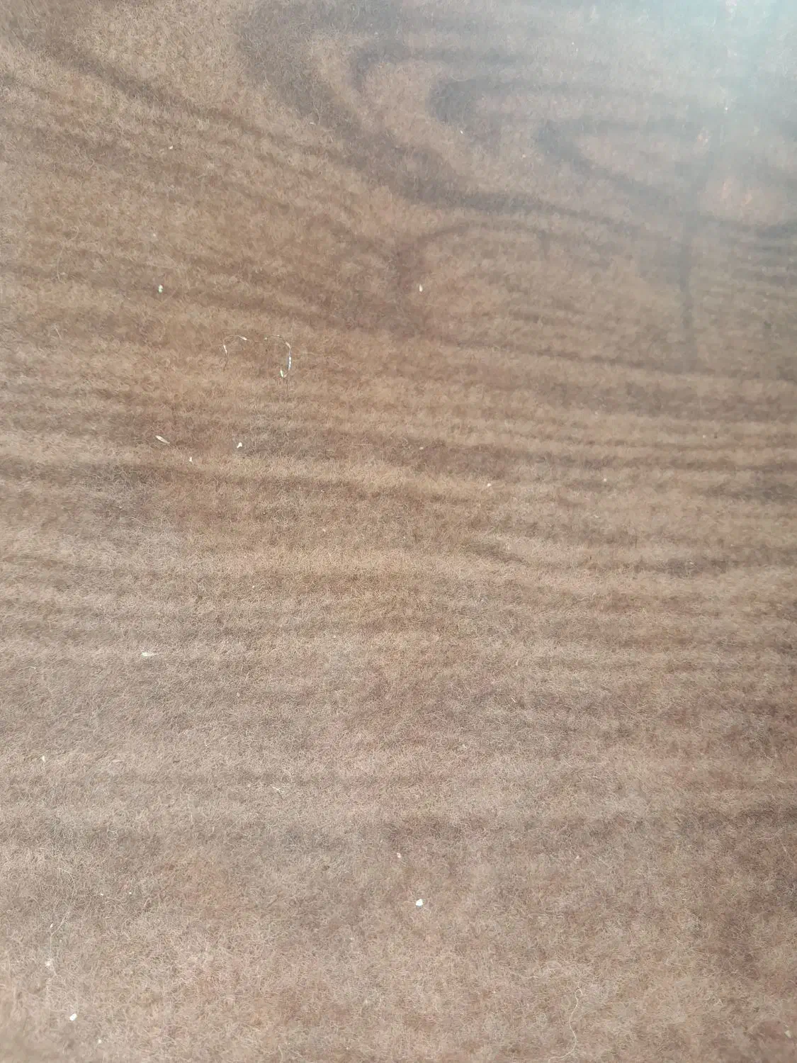 موکت|موکت|اردبیل, |دیوار