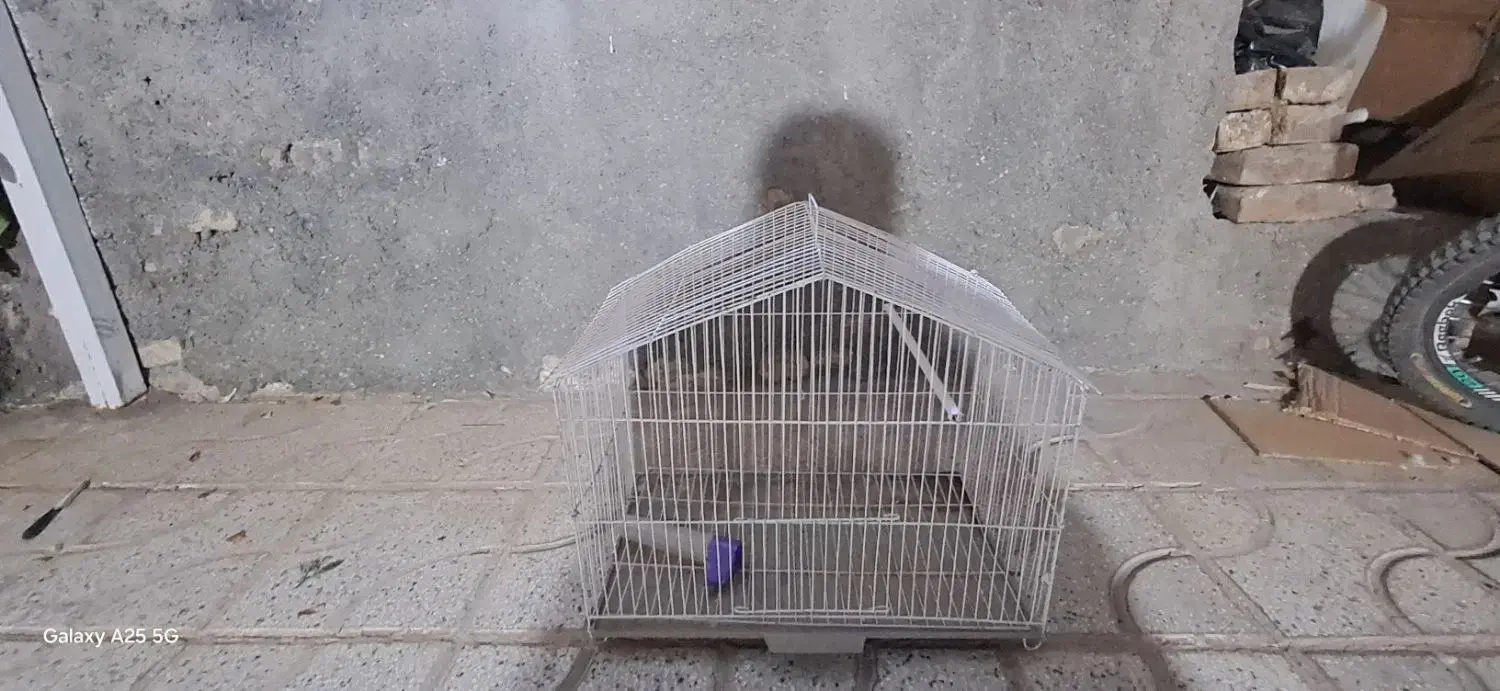 قفس پرنده|لوازم جانبی حیوانات|تربتحیدریه, شهرک ولیعصر|دیوار