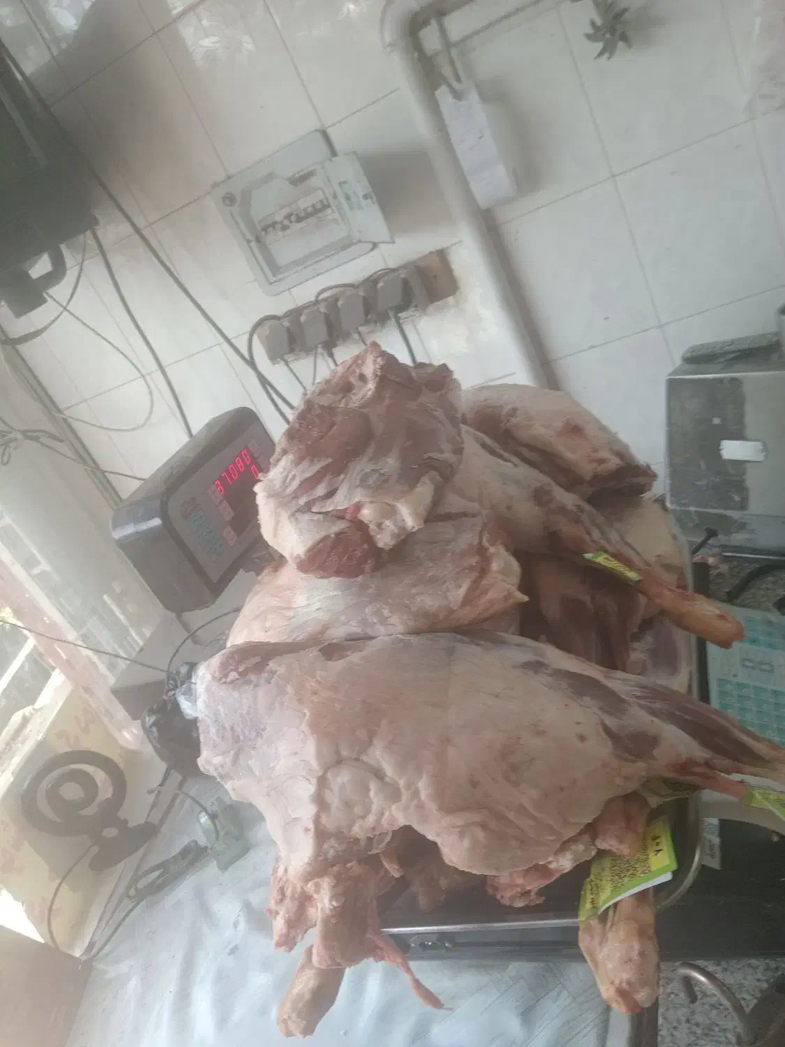 گوشت گوساله و گوسفندی  توجه گوست گوساله ۴۹۰ هزار ت|خوردنی و آشامیدنی|قم, در بهشت|دیوار