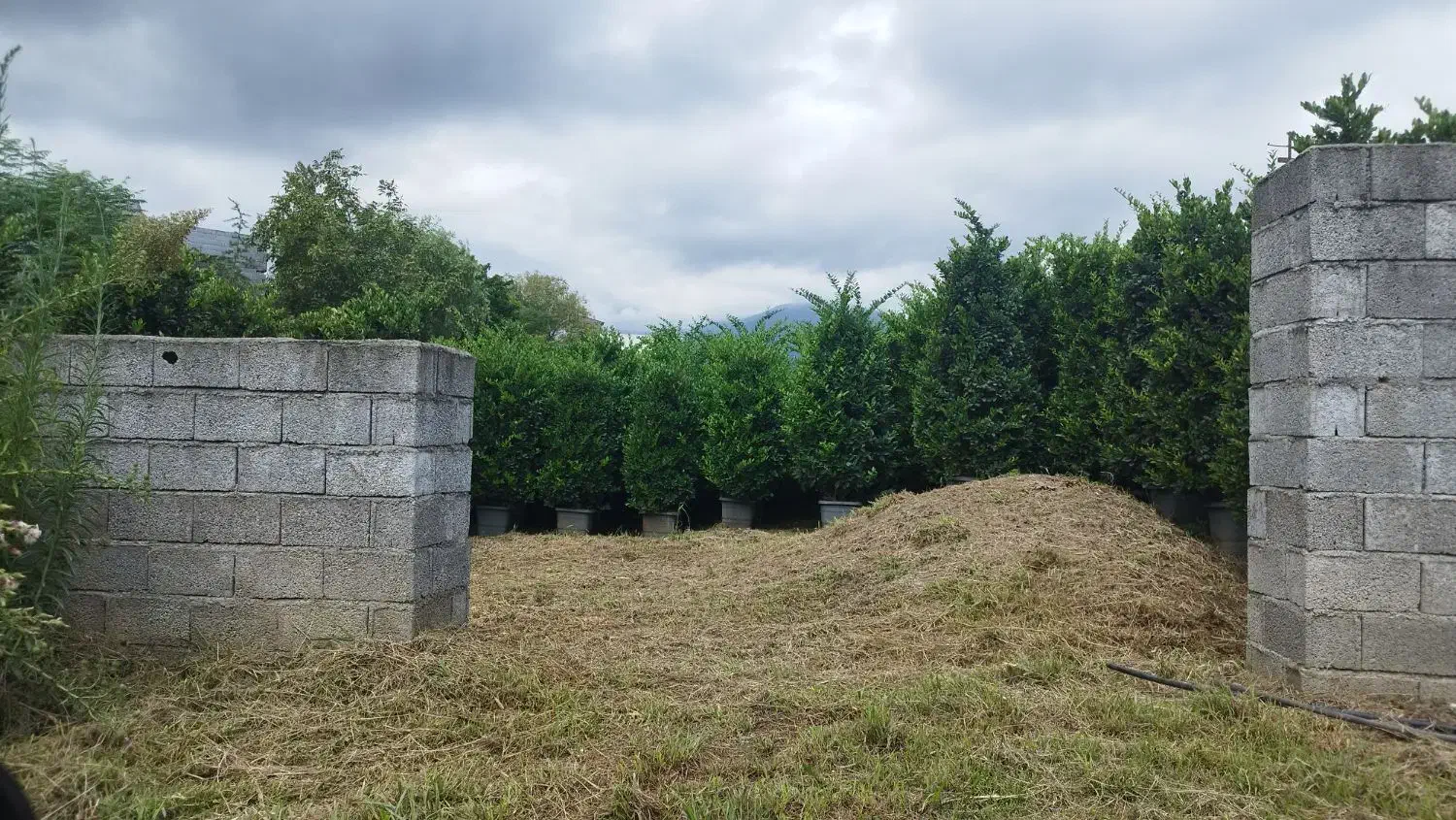 فروش زمین ۳۲۰ متری محدوده چهارصد دستگاه رامسر|فروش زمین و ملک کلنگی|رامسر, |دیوار