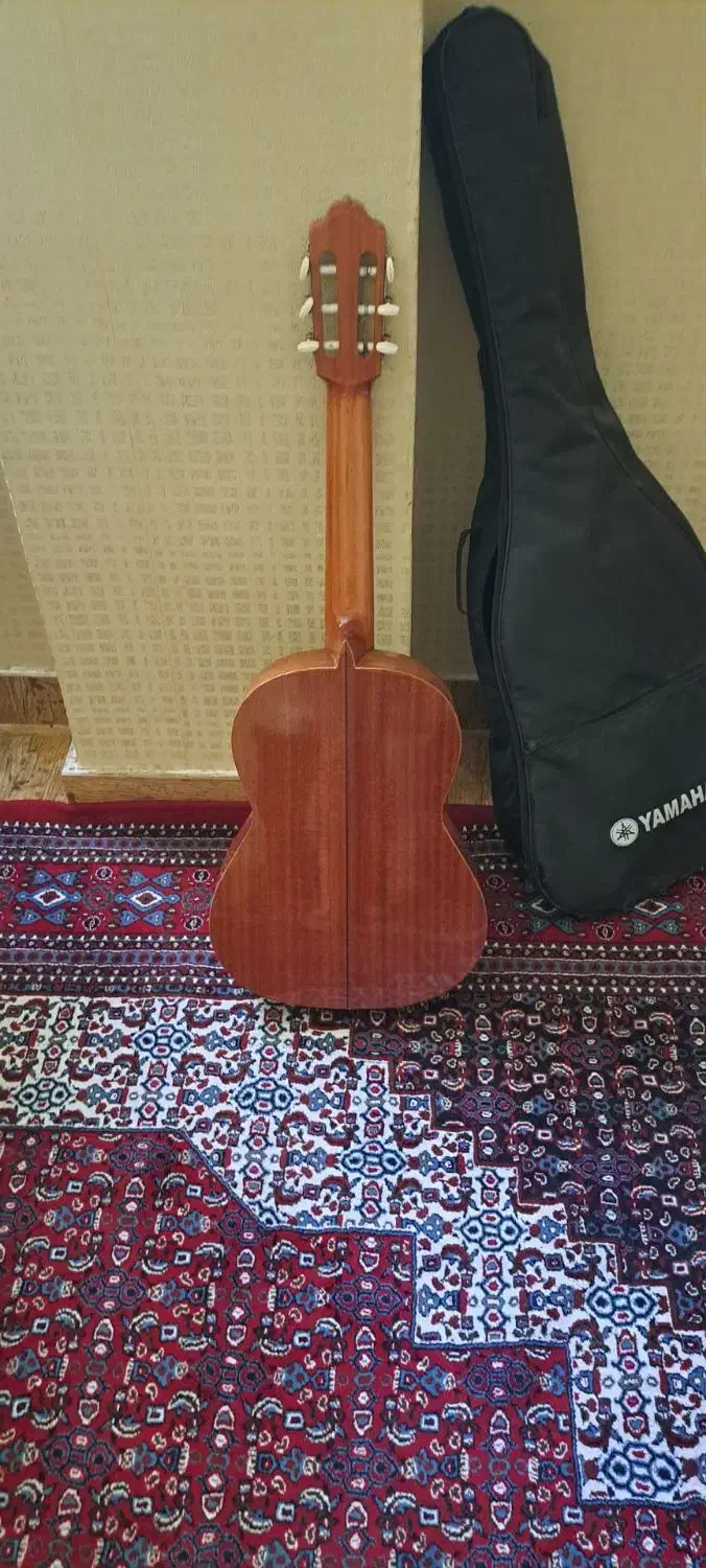 گیتار اسپانیایی|گیتار، بیس، امپلیفایر|سنندج, |دیوار