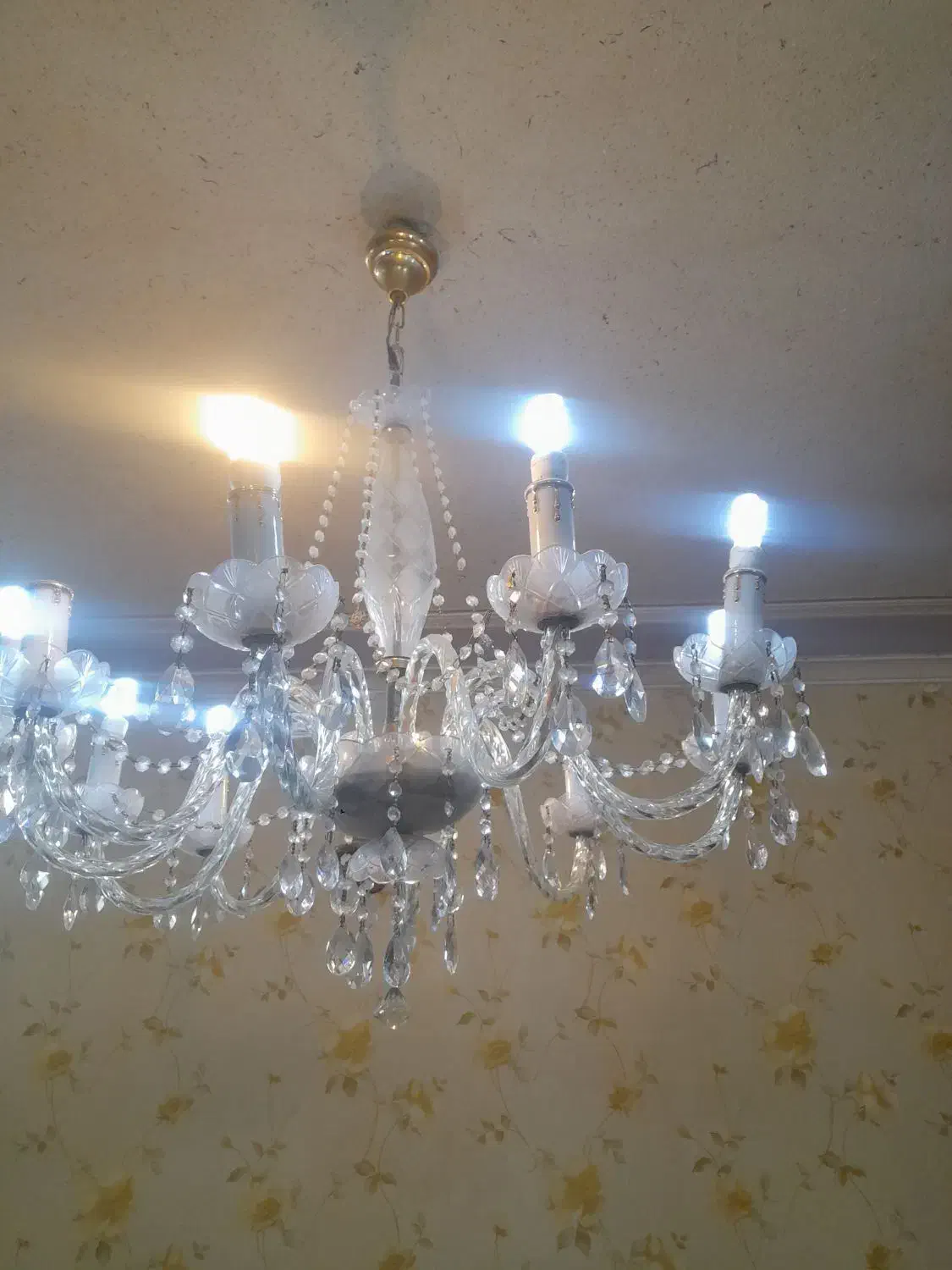 لوستر کلاسیک|لوستر و چراغ آویز|کرمان, |دیوار