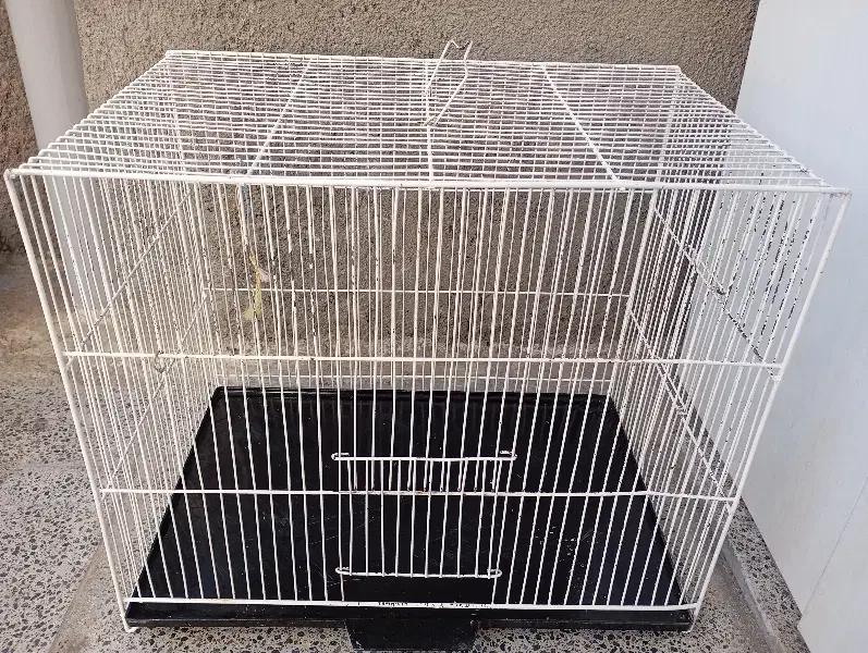 قفس بزرگ|لوازم جانبی حیوانات|تربت جام, مسکن مهر|دیوار