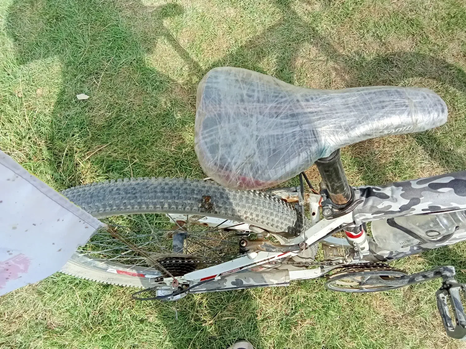 دوچرخه 24|دوچرخه، اسکیت، اسکوتر|صومای برادوست, |دیوار