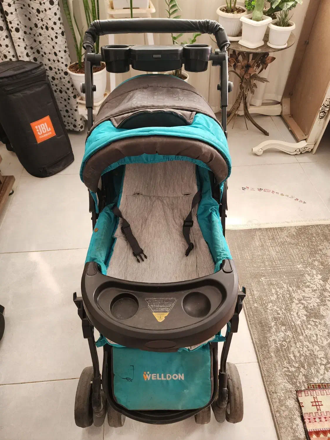 کالسکه دلیجان|کالسکه و لوازم جانبی|شیراز, سفیرشمالی|دیوار