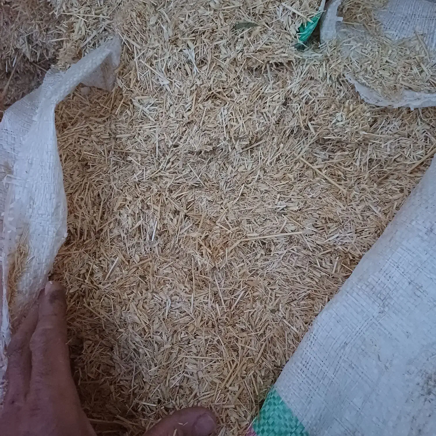 کاه گندم ریز دیمی|لوازم جانبی حیوانات|ضیاء آباد, |دیوار