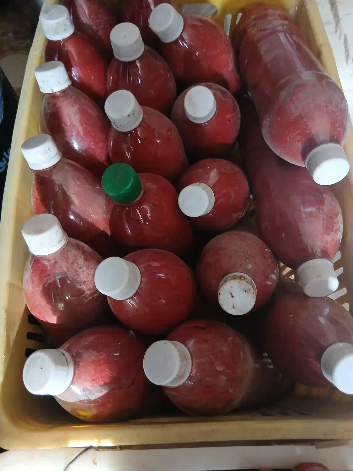 رب مغان سالم بهداشتی بطری بلمب|خوردنی و آشامیدنی|پارس‌آباد, |دیوار