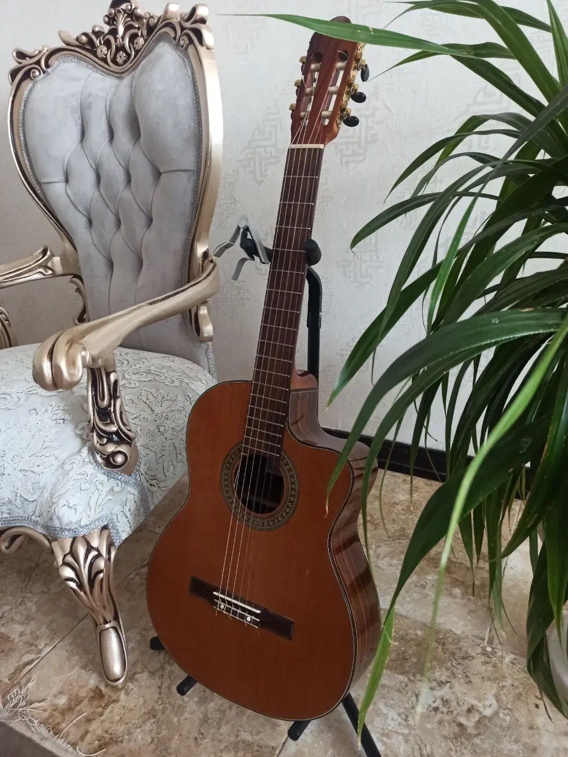 گیتار کوردوبز|گیتار، بیس، امپلیفایر|آباده, |دیوار